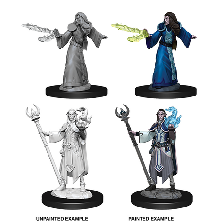 MALE ELF WIZARD PRIMED NOLZUR
