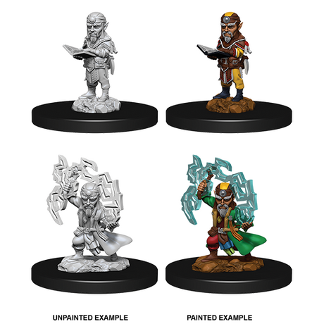 Male Gnome Sorcerer (Pathfinder)